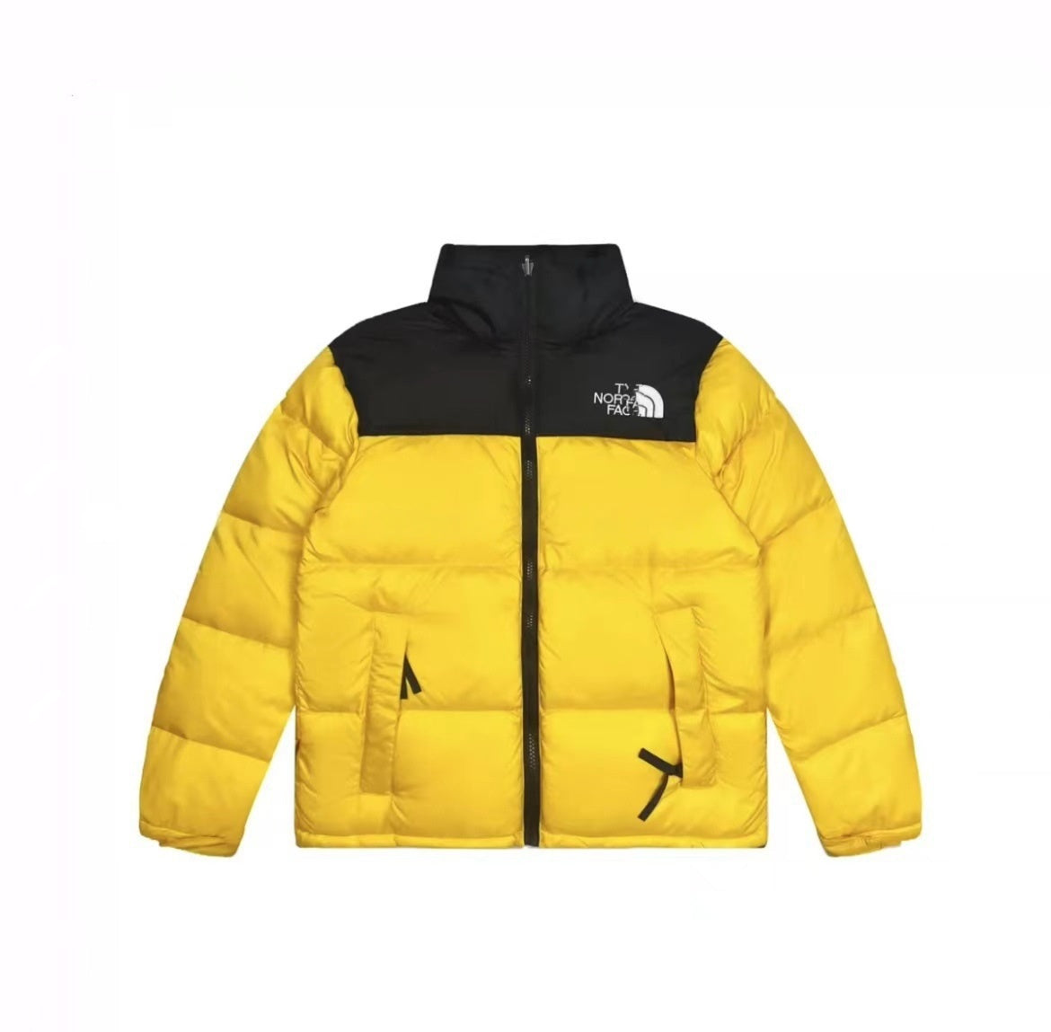 TNF 1996 Puffer Jacket